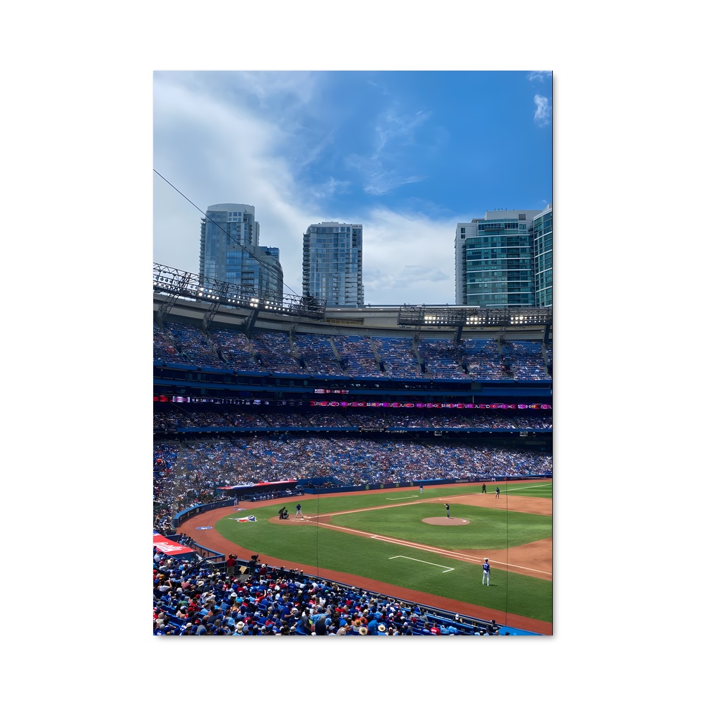 Poster Vue Épique des Blue Jays